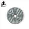 Polishing Pad Sticky Disc Diamond
